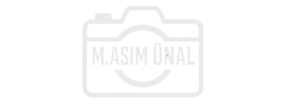 M asim Uenal Logo